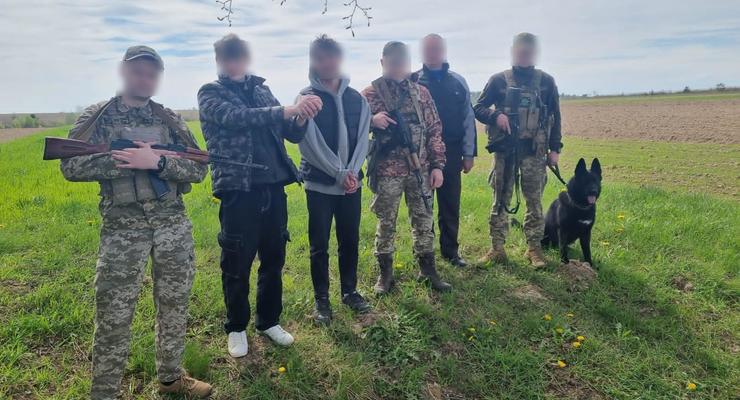 Порушення держкордону: на Львівщині затримали шістьох ухилянтів