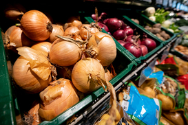 Цены на лук стремительно растут: сколько стоит популярный овощ