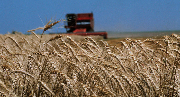 ОВА будут отдавать избыточное зерно для гуманитарной программы Grain from Ukraine