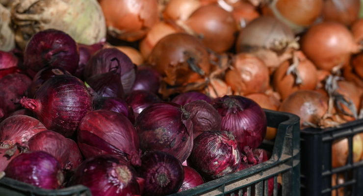 Иллюстративное фото / Getty Images