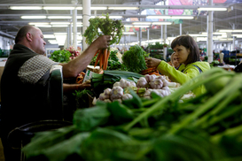 На украинском рынке изменились цены на морковь: сколько нужно заплатить