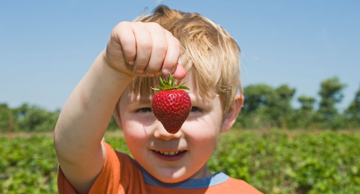 Иллюстративное фото / Getty Images