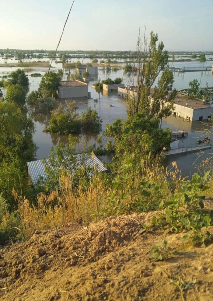 Единственный государственный осетровый завод в Украине полностью затоплен