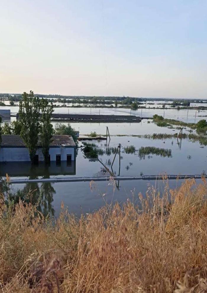 Единственный государственный осетровый завод в Украине полностью затоплен