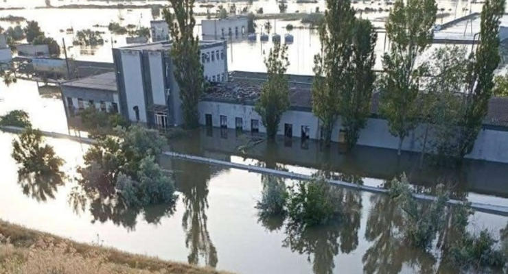 Єдиний в Україні державний осетровий завод повністю затоплено