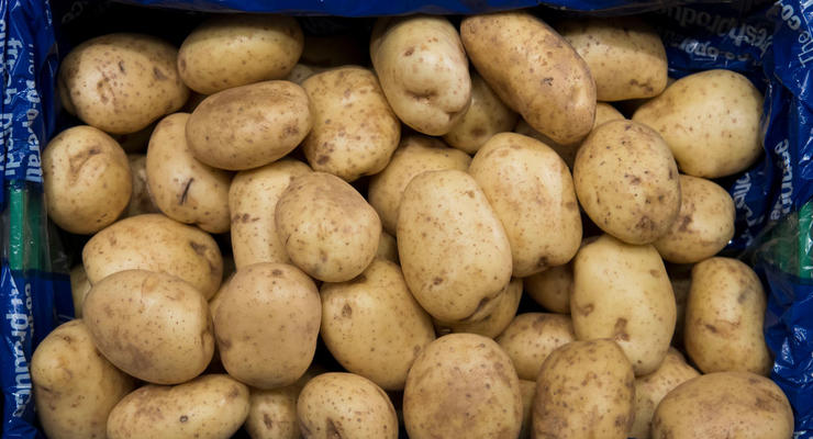 Цены на картофель в Украине резко выросли: сколько сейчас стоит килограмм