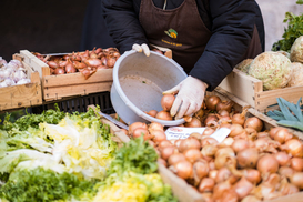 В Украине обвалились цены на лук: какова стоимость овоща