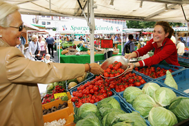 В Украине обвалились цены на летний овощ: сколько нужно заплатить