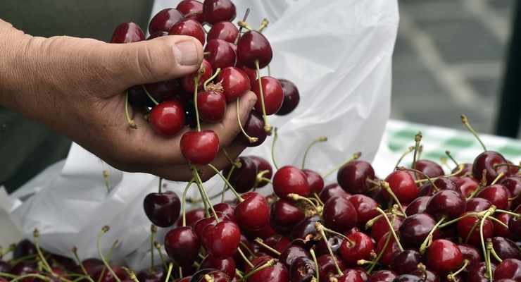 Иллюстративное фото / EPA/UPG