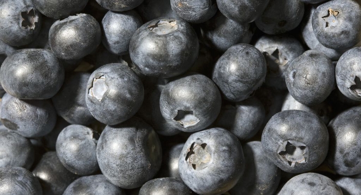 Ілюстративне фото / Getty Images