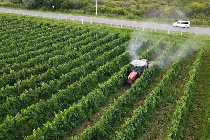 На Закарпатье открыли новый коньячный завод