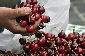 Украинцев на рынках обманывают с весом товаров: Как не попасть в ловушку