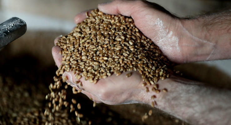 В МВФ спрогнозировали рост цен на зерно