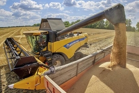 Скільки тонн зерна пошкодили окупанти - названо значну цифру
