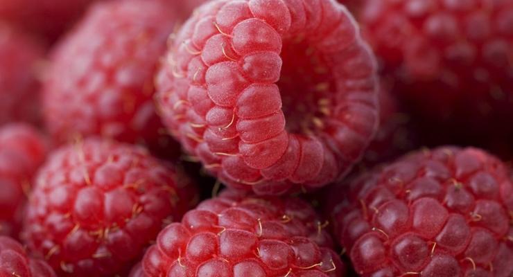 В Украине упали цены на популярную ягоду: сколько стоит малина
