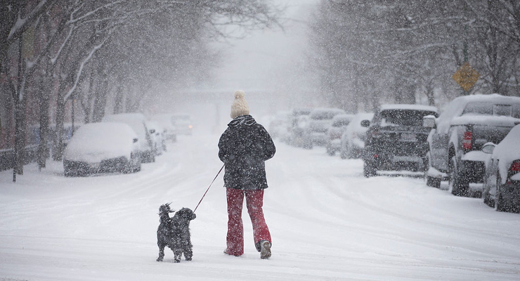 Иллюстративное фото / Getty Images