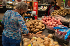 В Украине наблюдается снижение цен на картофель: сколько стоит килограмм
