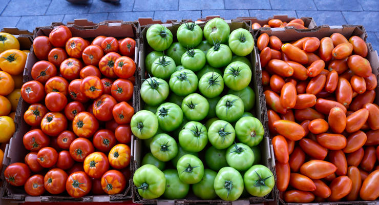 В Україні знову зростають ціни на томати: скільки коштує овоч