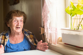 Субсидии 2023: кто имеет право на их оформление