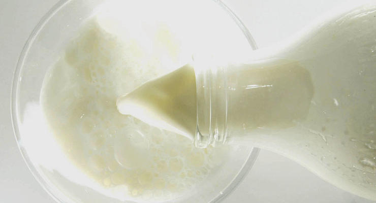 В Украине растут цены на молочные продукты: названа причина подорожания