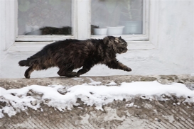 Отопительный сезон в Украине: как подготовить жилье к холодам