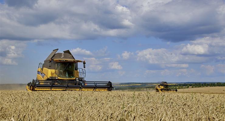 Импорт украинского зерна в ЕС: В МИД назвали 5 причин не продлевать запрет