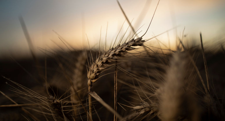 Иллюстративное фото / Getty Images