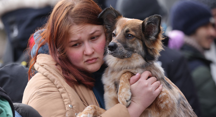 Греция продлила временную защиту для украинцев / Getty Images
