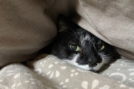 В Киеве начинают подключать к теплу жилые дома, - Кличко