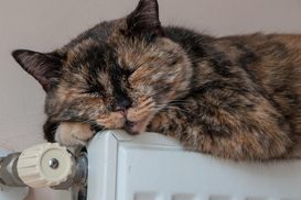 В Киеве продолжается запуск отопительного сезона: сколько домов уже с теплом