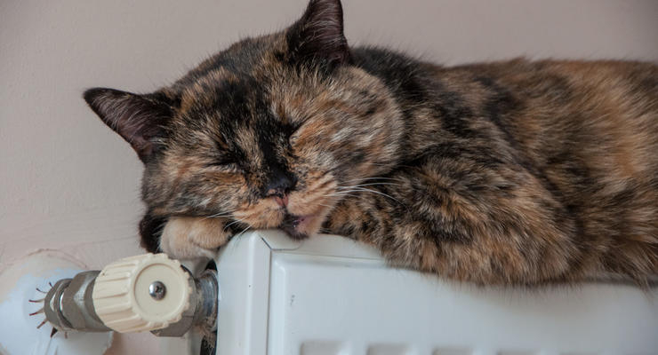 Иллюстративное фото / depositphotos.com