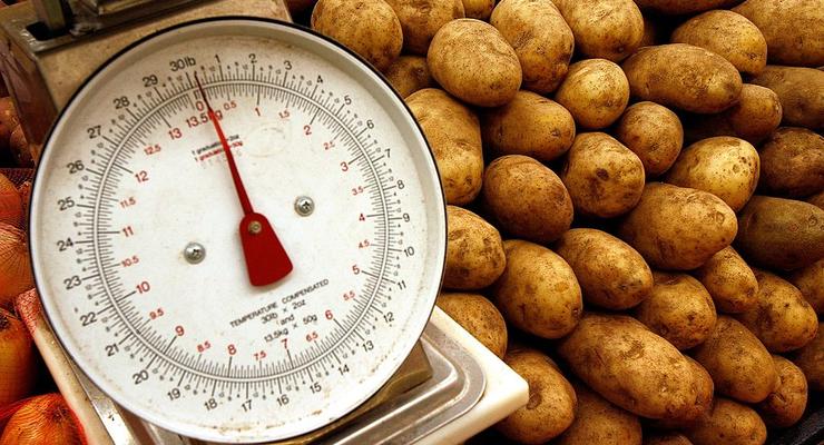 Ціни на картоплю зростають: скільки коштує улюблений овоч українців