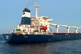 Остановили ли работу нового зернового коридора: в Минвосстановление опровергли слухи