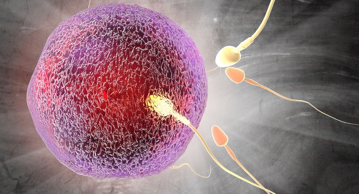 Фото рекламодавця