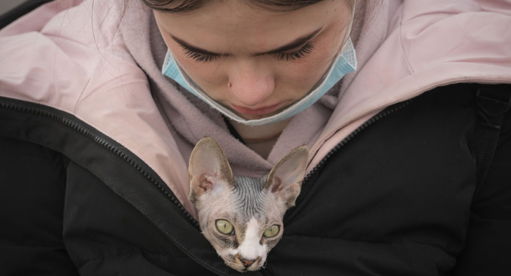 Иллюстративное фото / Getty Images