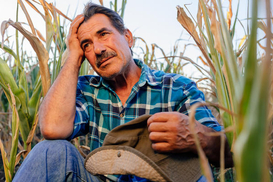 Субсидия на коммуналку: как влияет земельный пай на назначение помощи