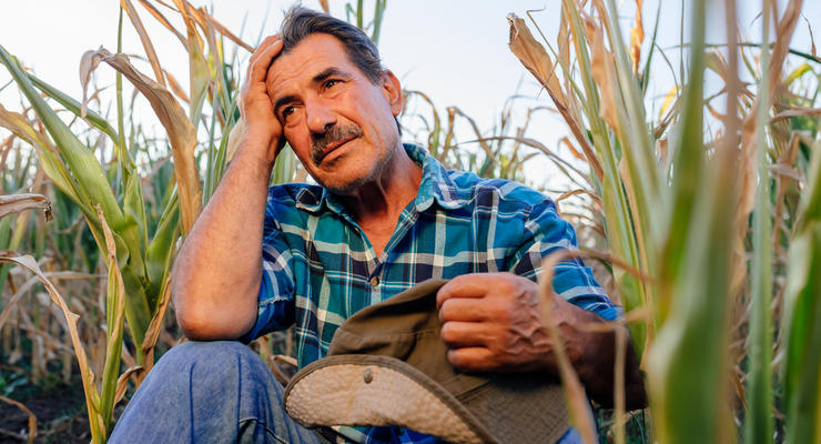 Ілюстративне фото / depositphotos.com