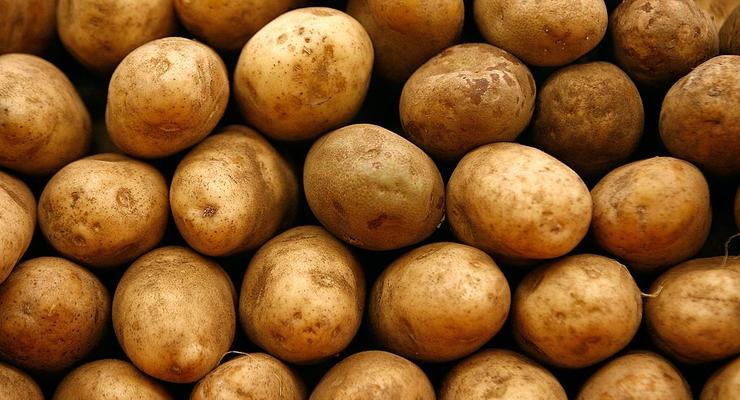 В Україні підвищують ціни на картоплю: чому дорожчає