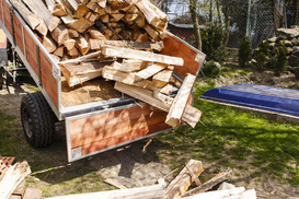 В Украине увеличили субсидии на приобретение дров: сколько можно получить