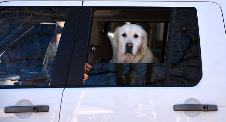 Иллюстративное фото / Getty Images