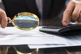 В Украине открыли публичный доступ к реестру деклараций: детали