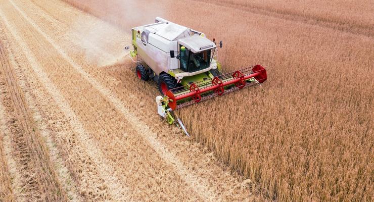 Украина может нарастить экспорт зерна до 6 миллионов тонн ежемесячно