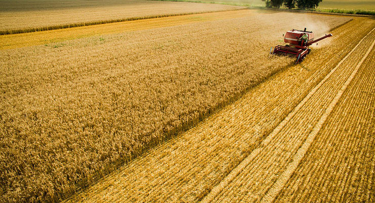 Аграрии получили рекордную урожайность за всю историю Украины - Минагрополитики