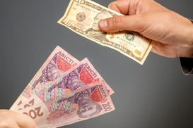 Чому ослабла гривня наприкінці 2023 року: у НБУ назвали причини