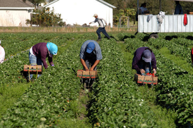 Работа в Польше: какую зарплату получают украинские беженцы