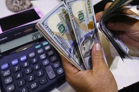 Курс валют на 22.01.2024: доллар продолжает дешеветь