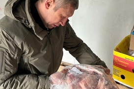 Минобороны внезапно проверило продуктовые склады для ВСУ: что обнаружили