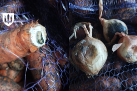 Продукты для ВСУ: Минобороны предотвратило поставку более 362 тонн некачественных товаров