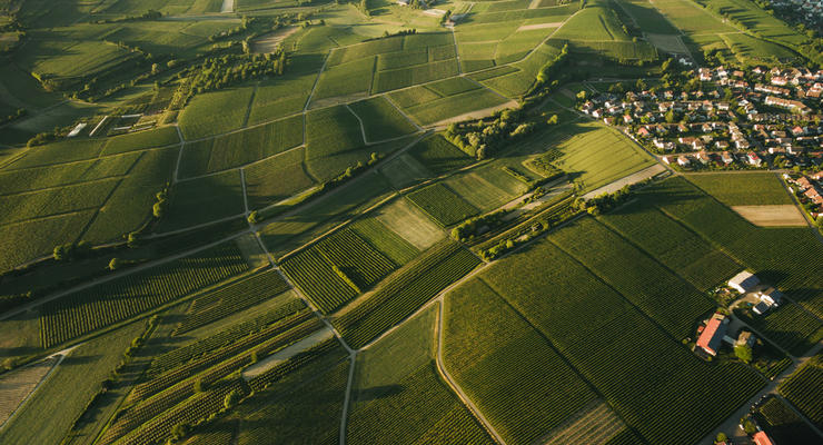 Иллюстративное фото / depositphotos.com