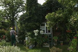 Кабмин расширил условия предоставления грантов на развитие садоводства - Минагро